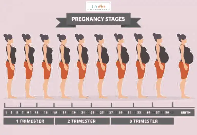 First Trimester (Weeks 1–12): Early Changes You Might Not Notice St Ives